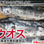 魚