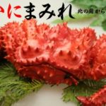 かにまみれ