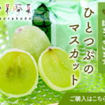 ひとつぶのマスカット