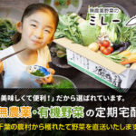 無農薬野菜