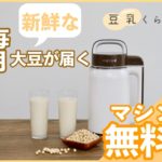 豆乳