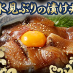 氷見ぶりの漬け丼