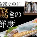 イカ姿造り