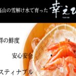 幸えび