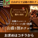 割れチョコ