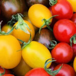 ポケットマルシェ